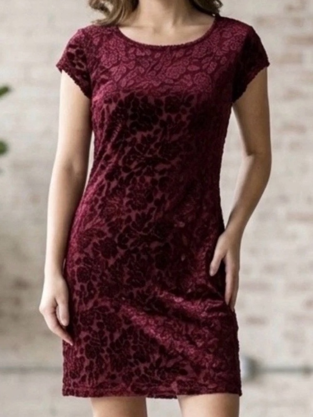 Y2K Vintage DKNY Burnout Velvet Floral Dress Burgundy Petite Romantic WhimsiGoth